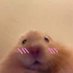 ? (@teahbp_) Twitter profile photo ? (@teahbp_) Twitter profile photo