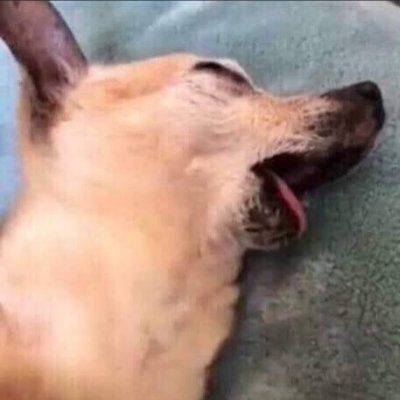 nayeon3127's profile picture. 21 M 

5” yung alam mo na

Chill n Horny