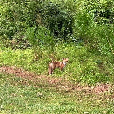 camd_70's profile picture. Dog lover, rational thinker despite growing up in Berkeley CA and living in Montgomery County MD.