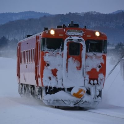 お月様、朝日🌅や夕日🌇などの移り変わり、鉄道写真も撮影します。とんくま
たまにUSP(浦河サファリパーク)
#HBCラジオリスナー(たまにＳやニッポン放送)急行えりもの風#バンラジリスナー#貨物列車#DF200#ｷﾊ40#ｷﾊ183系#ファイターズ#コンサドーレ札幌