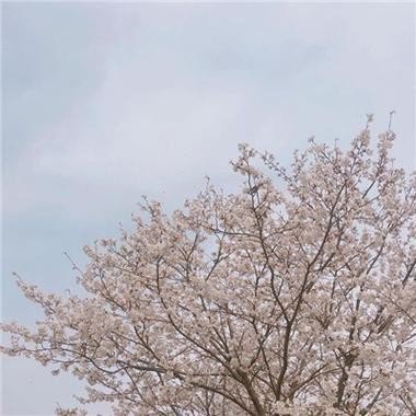 ParkerHumeef's profile picture. 