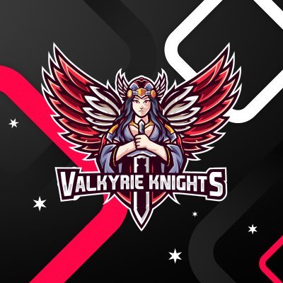 ValkyriKnights Profile Picture