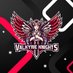 Valkyrie Knights (@valkyriknights) Twitter profile photo Valkyrie Knights (@valkyriknights) Twitter profile photo