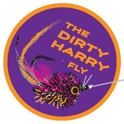 DirtyHarryFly's profile image