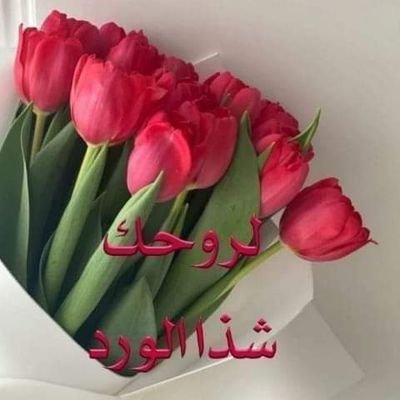MElazm33878's profile picture. هادئ الطبع محب للجمال والطبيعة