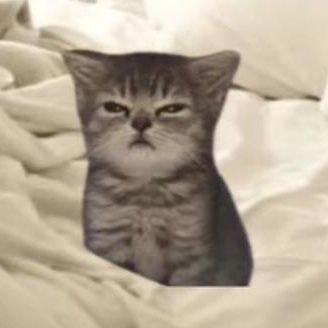 ACreations44389's profile picture. 