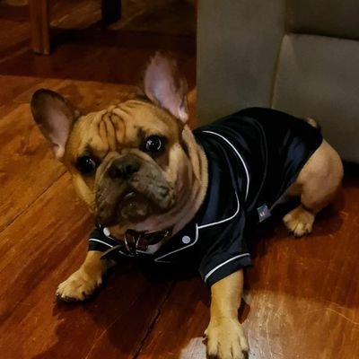 gemini_jv's profile picture. 