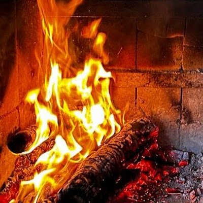 renbaum's profile picture. Libertarian nature lover and self suficient life achiever