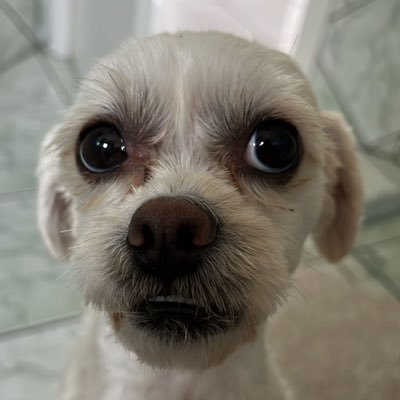 perdona_victor's profile picture. 