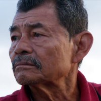 Toshkua (@toshkuafilm) 's Twitter Profile Photo Toshkua (@toshkuafilm) 's Twitter Profile Photo