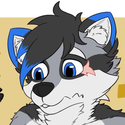 Divided_Raccoon Profile Picture