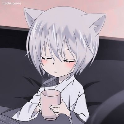 saraabrenes's profile picture. no sé