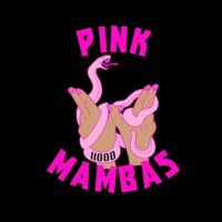 Pink Mambas (@rowebotics11000) 's Twitter Profile