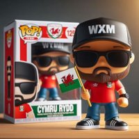 Cymru Rydd ✊🏴 فلسطين حرة 🍉 (@daviescymru68) 's Twitter Profile