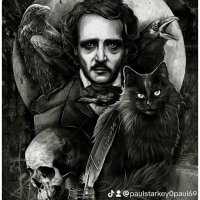 Paul (@paul696868) 's Twitter Profile