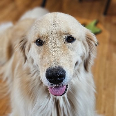 @KSPetAdvocates