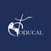 ODUCAL (@Oducal) Twitter profile photo