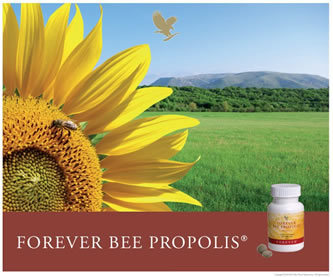 BeeHivePropolis's profile picture. Hubungi: 081510690053 send SMS. Product Propolis; Melia Nature. Solution for Long live, Forever young and keep healthy. Guarantee!!