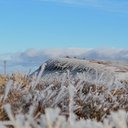 yik ki ryan chung - @YChung75863 - Twitter