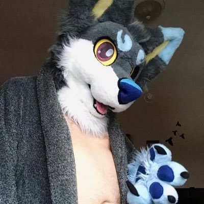 ʕ •ᴥ•ʔ🇨🇦Ontario ♍️sometimes a panda, sometimes a blue wolf ☯️ʕ•ᴥ• ʔ LvL32 🔞 My Smelly BF is @zimzumtheskunk🦨💞🐼🐺