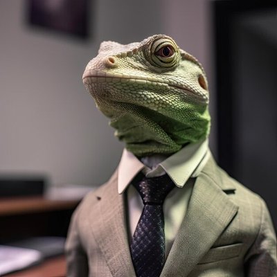 geckosquad