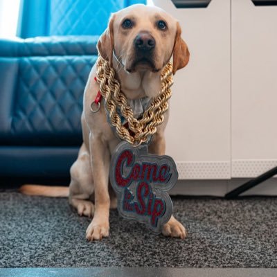 #MooDengClan Unofficial @Olemissfb mascot. Only child of @Lane_Kiffin that can be trusted with a credit card. Previous home: @wildrosekennels IG: Juice_Kiffin