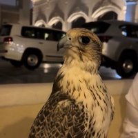 خالد | KHALED (@ew4_8) 's Twitter Profile
