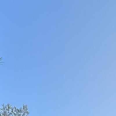 NinaDlnv's profile picture. Vends mes magnifiques pieds