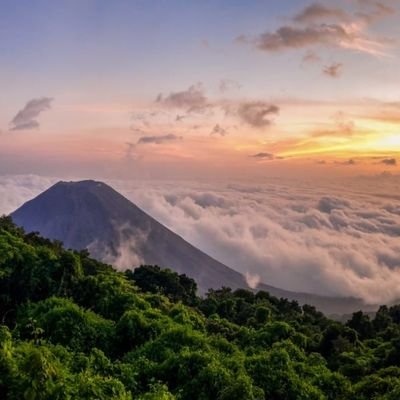 Rasmuss08790379's profile picture. 