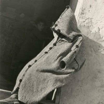 insfcore's profile picture. 