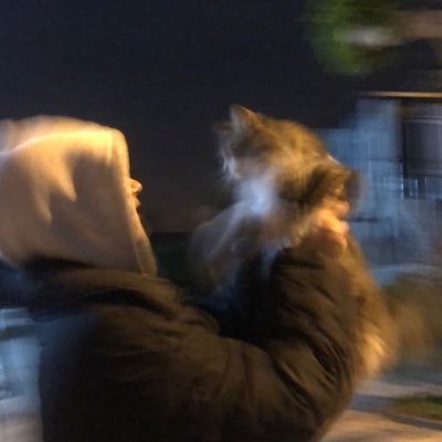 defallday's profile picture. 