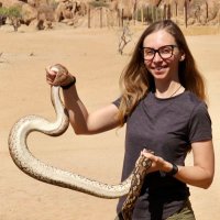 Amanda Picelli 🦎 💉🔬🧬 (@lizardmalaria) 's Twitter Profile