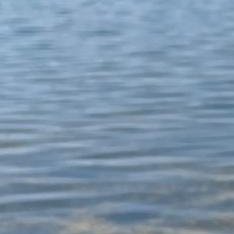 Adv_abdul9999's profile picture. 