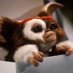 Gizmoooo🌪️ (@crazygizmooo) Twitter profile photo Gizmoooo🌪️ (@crazygizmooo) Twitter profile photo