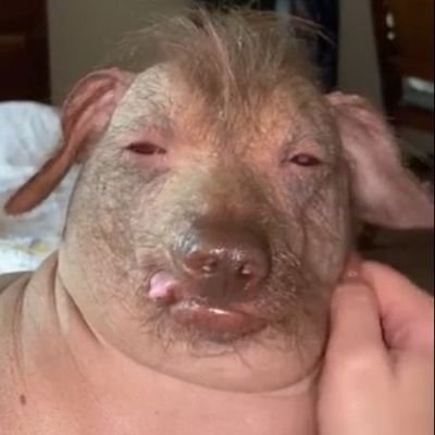 KORADIOFM's profile picture. 