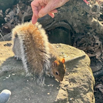 HighTechster's profile picture. 