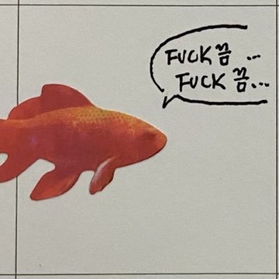 픅헤さんのプロフィール画像