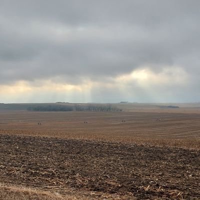 BoondocksEvents's profile picture. Just a small town girl trying to make it in this big ole world!