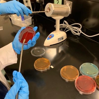 #CLS442 | @_KSU Student | Deputy of Financial Affairs @CSC_CAMS | Member of  @Weqa_SPP @CSC_CAMS @CLS_Club | Interested @SA_Microbiology @SciImmunology