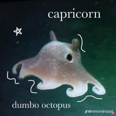 Sean_Fie's profile picture. noooooooooooo