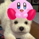 i am 22yr old wohman.// kirby my son 💕 priv: @minisugur