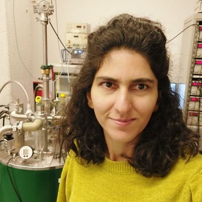 Junior group leader (START Fellow @MCQST_cluster ) and postdoc @TU_muenchen. 1st postdoc @uni_regensburg and PhD/MSc Nanoscience @univgroningen
