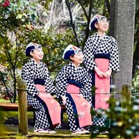 【公式】大島町役場 観光課 (@oshima_kankou) 's Twitter Profile Photo