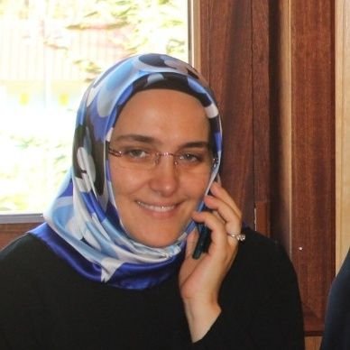 demiralpdilek's profile picture. 