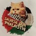 Adult Human Antifascist (@smashfashcats) Twitter profile photo