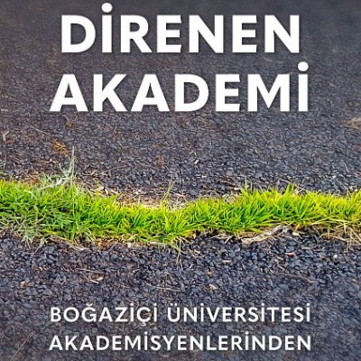 direnenakademi Profile Picture