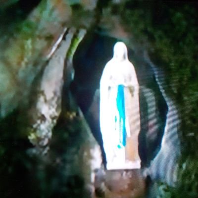 mtmalave's profile picture. Matemática pura, me gusta la poesía y la belleza de las cosas