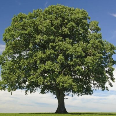daboyisit's profile picture. Special situations investing