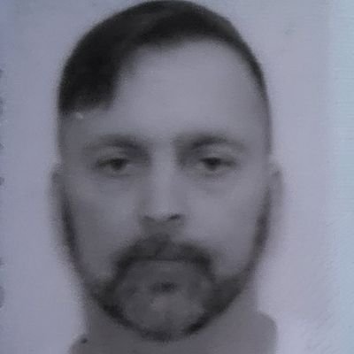 SPhaffer's profile picture. I'm super ultra MAGA Trump 2024! Same sex oriented. Been with my partner 30 yrs. Love my hubby, fur babies, home and Trump! We aren't married. We will never be.