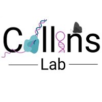 Collins Lab (@collinsrnplab) 's Twitter Profile